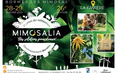 Mimosalia, des solutions pour demain